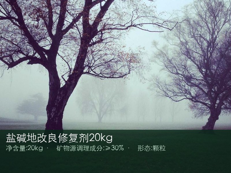 盐碱地改良修复剂20kg